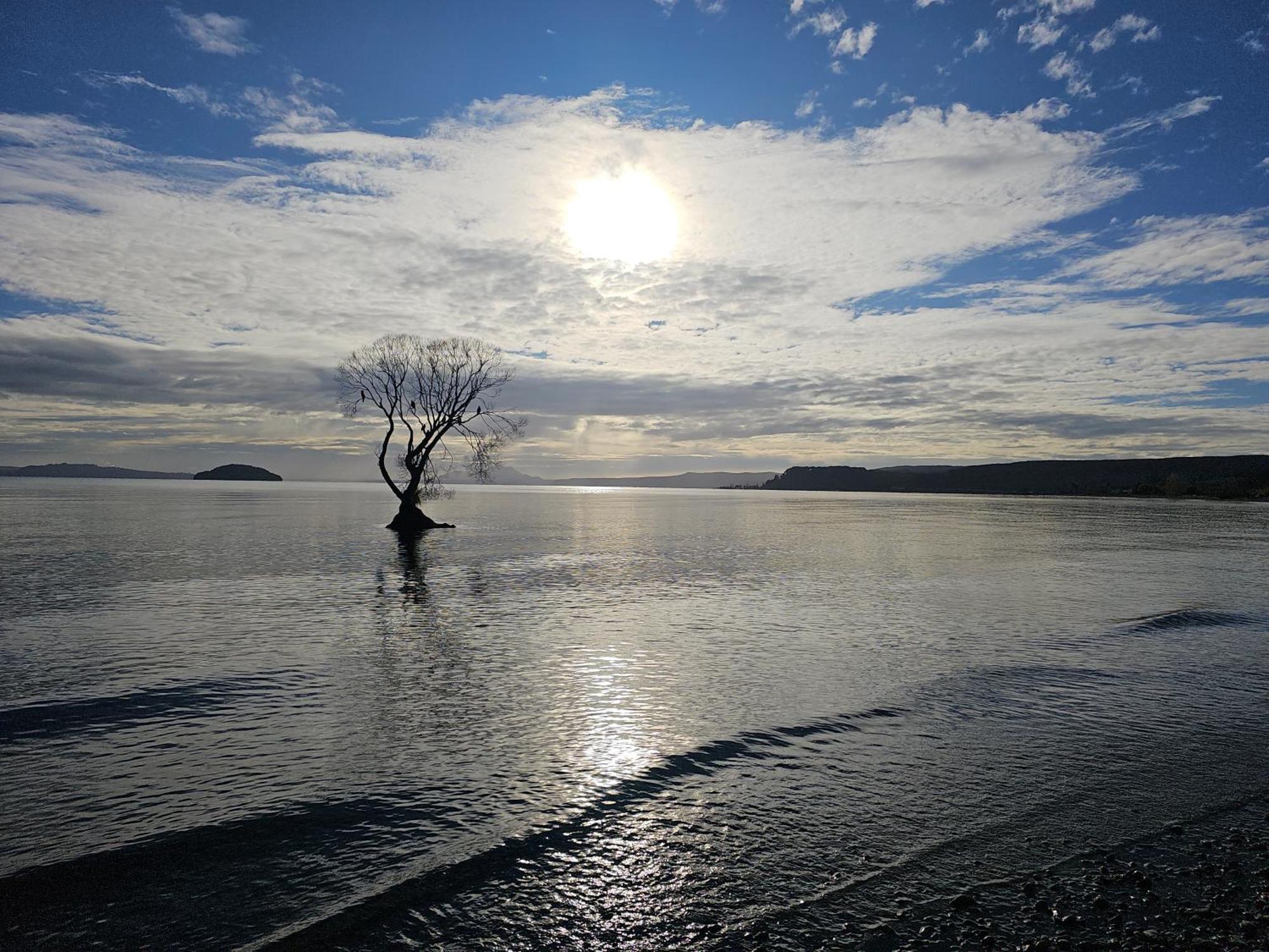 10 @ Wai Matangi Villa Turangi Eksteriør billede